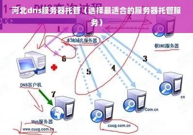 河北dns服务器托管（选择最适合的服务器托管服务）