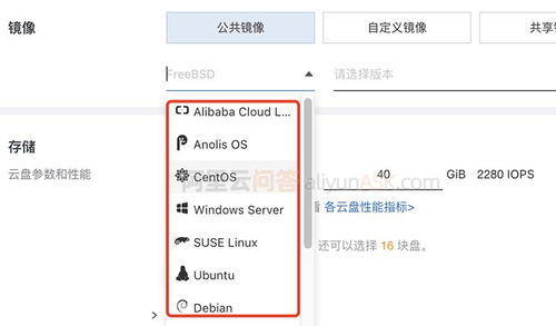 邳州阿里巴巴托管服务器（阿里云服务器选择指南）