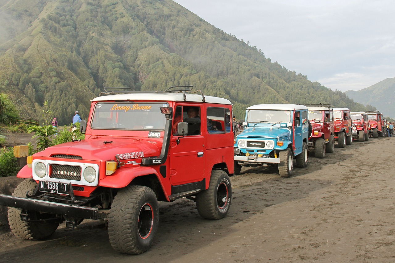 巴基斯坦买车(巴基斯坦买车开回中国)