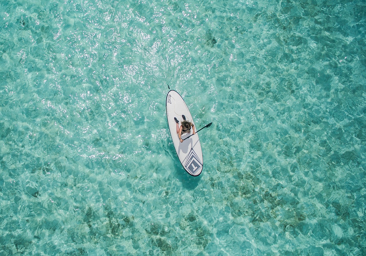 海豚纯电(海豚纯电平台)