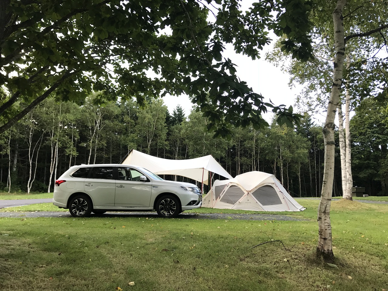 东风纯电动车(东风新能源纯电动汽车)