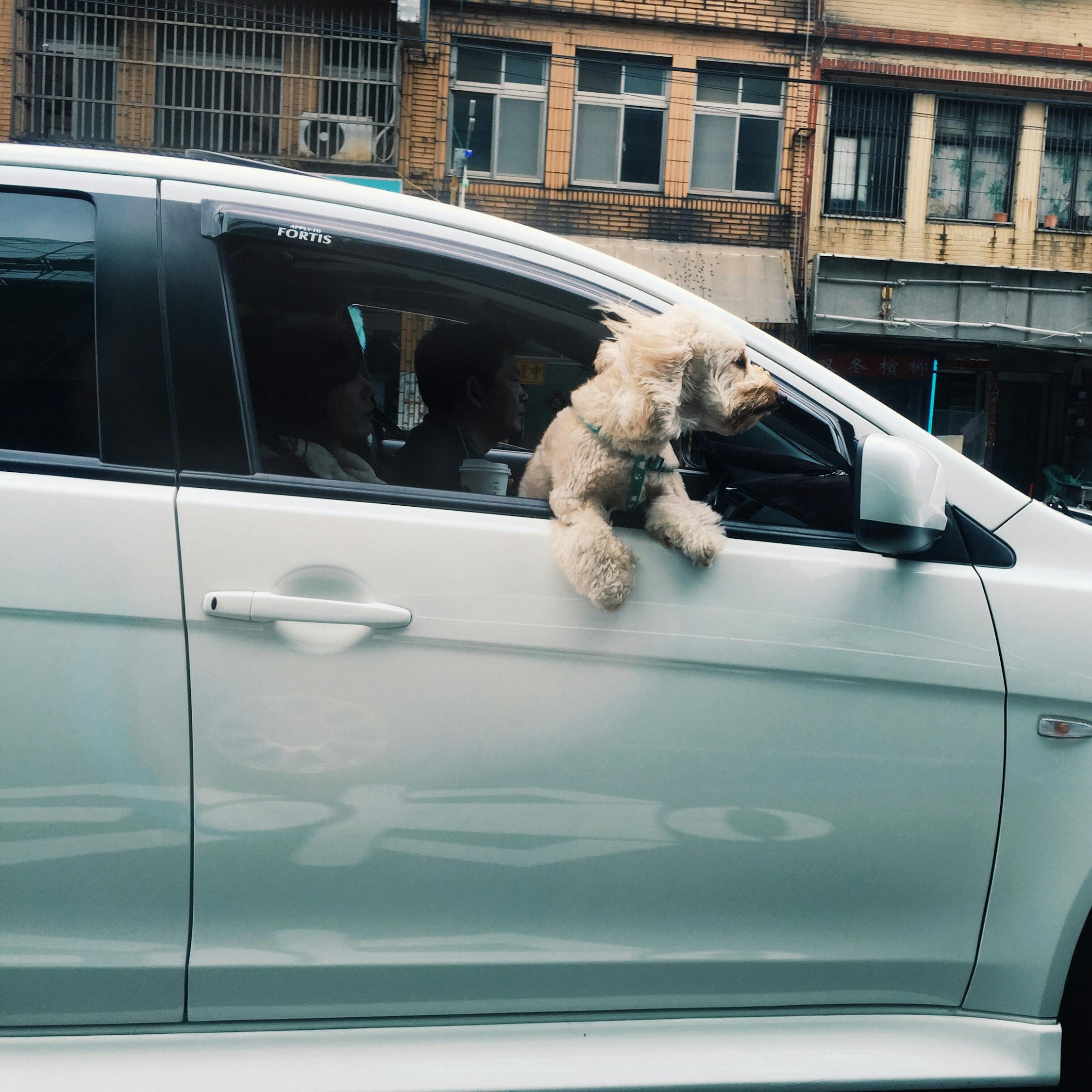 买二手车怎么问价格（二手车问价怎么问底价）