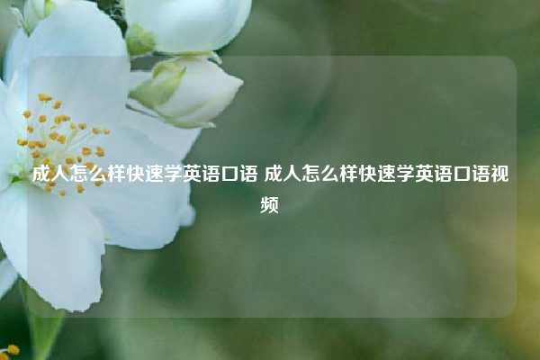 成人怎么样快速学英语口语 成人怎么样快速学英语口语视频