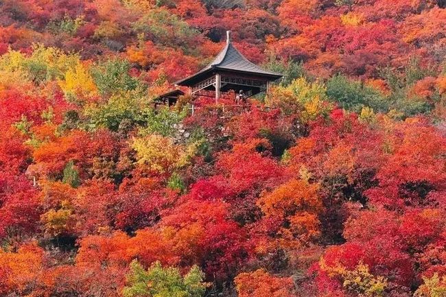 今年北京周末去哪玩好玩 这个周末去哪玩最好,坐标北京