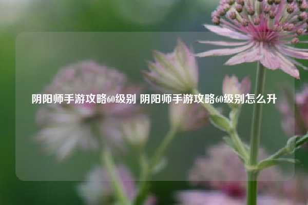 阴阳师手游攻略60级别 阴阳师手游攻略60级别怎么升