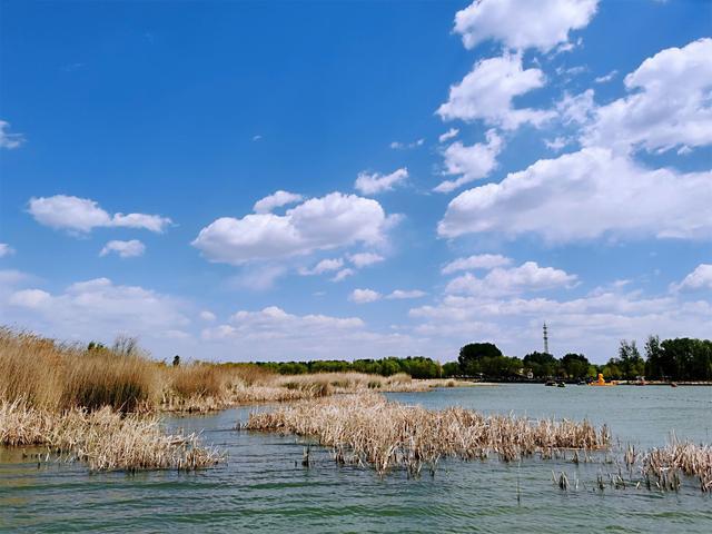 北京夏天周末情侣去哪玩 北京夏天周末情侣去哪玩好