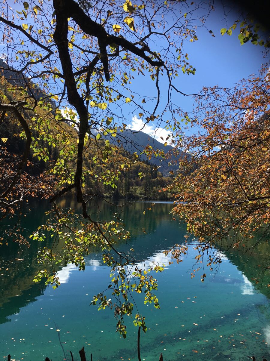 九寨沟天气暑期旅游攻略 九寨沟天气暑期旅游攻略大全