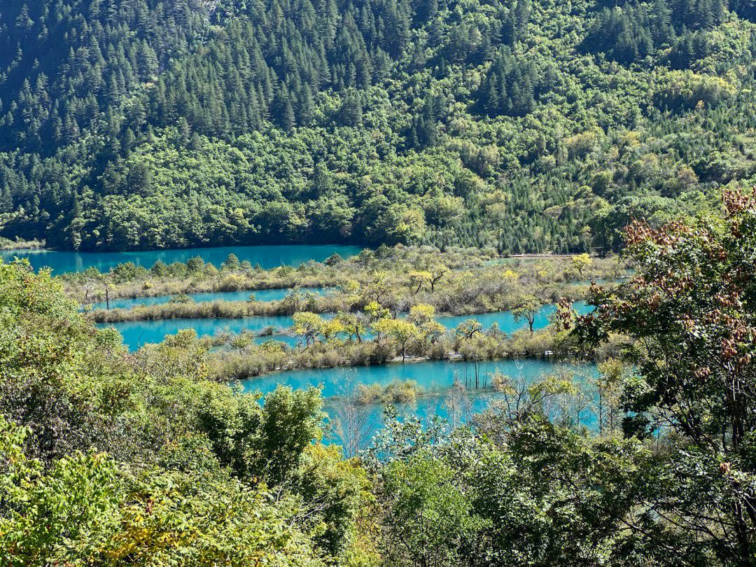 咸阳去九寨沟旅游景区攻略 咸阳去九寨沟旅游景区攻略路线