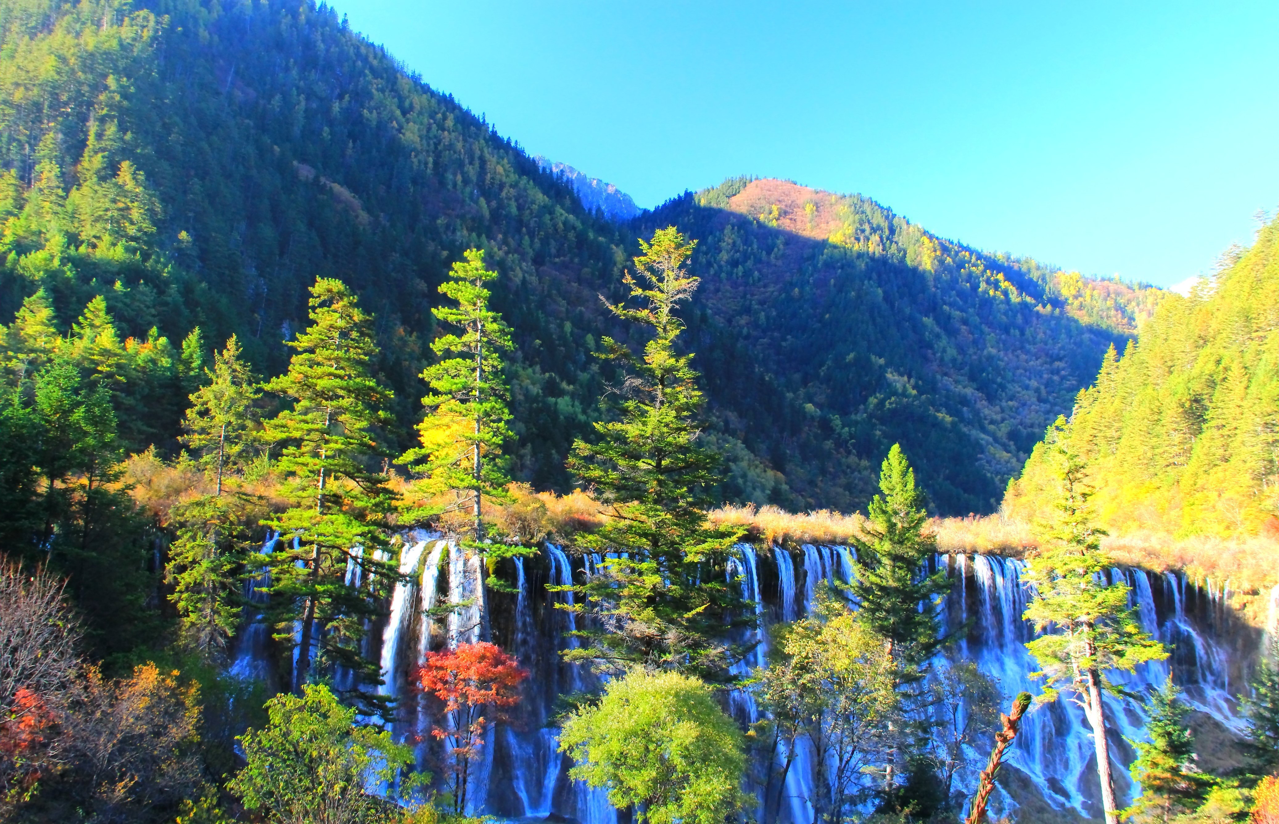 九寨沟旅游攻略老人免费吗 九寨沟旅游攻略老人免费吗现在