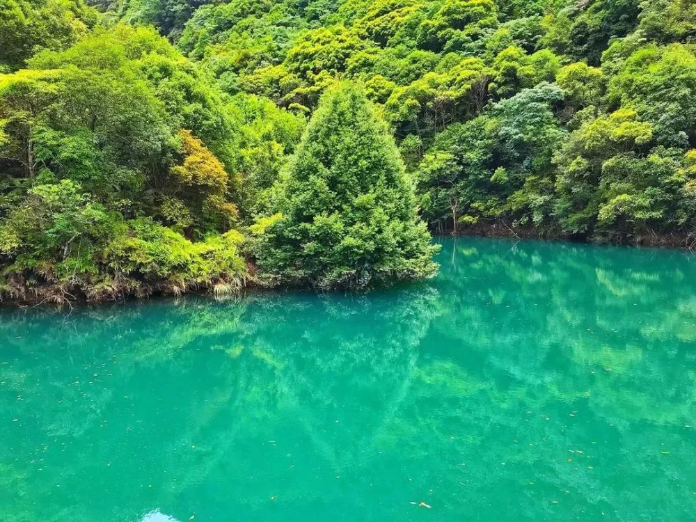 三明去九寨沟旅游攻略6月 9月份去三明要做核酸检测吗