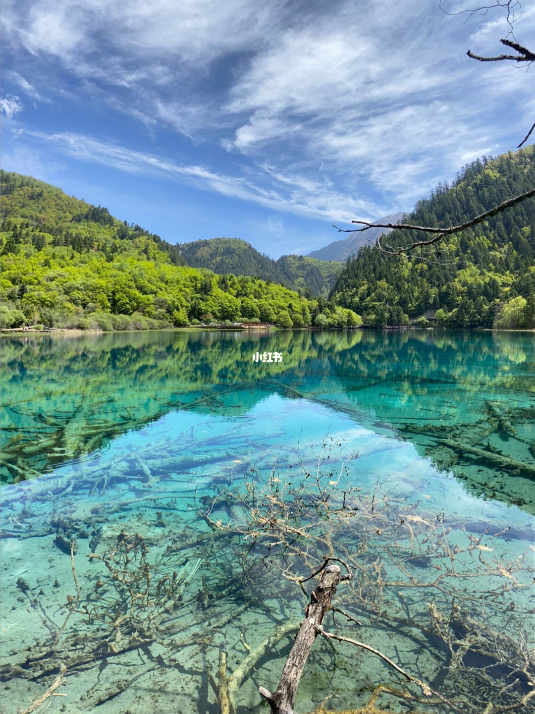 六月的九寨沟旅游攻略 九寨沟六月游风景美不思归