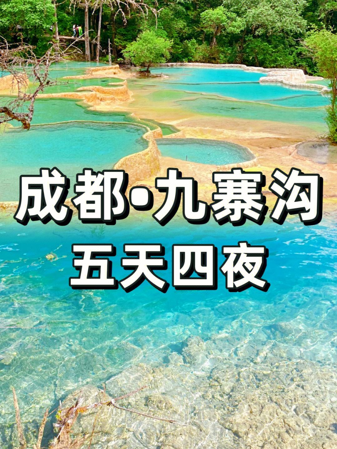 九寨沟环线旅游攻略路线推荐 九寨沟环线旅游攻略路线推荐图片