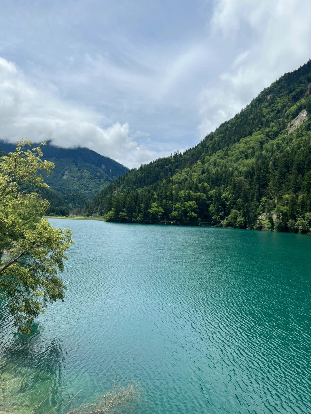 人间天堂九寨沟旅游攻略 神奇的九寨,人间的天堂是哪个地方