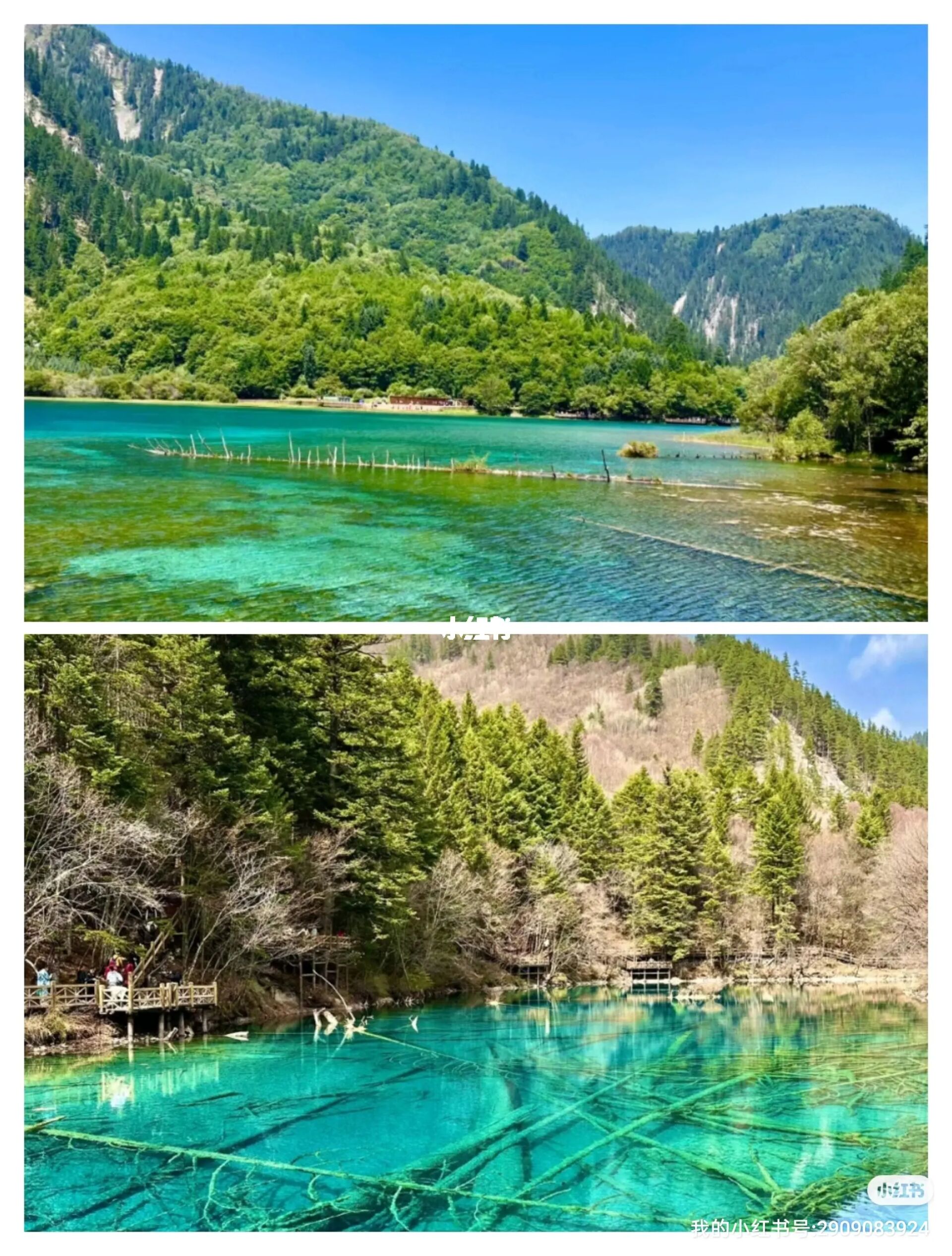 5月自驾九寨沟旅游攻略 