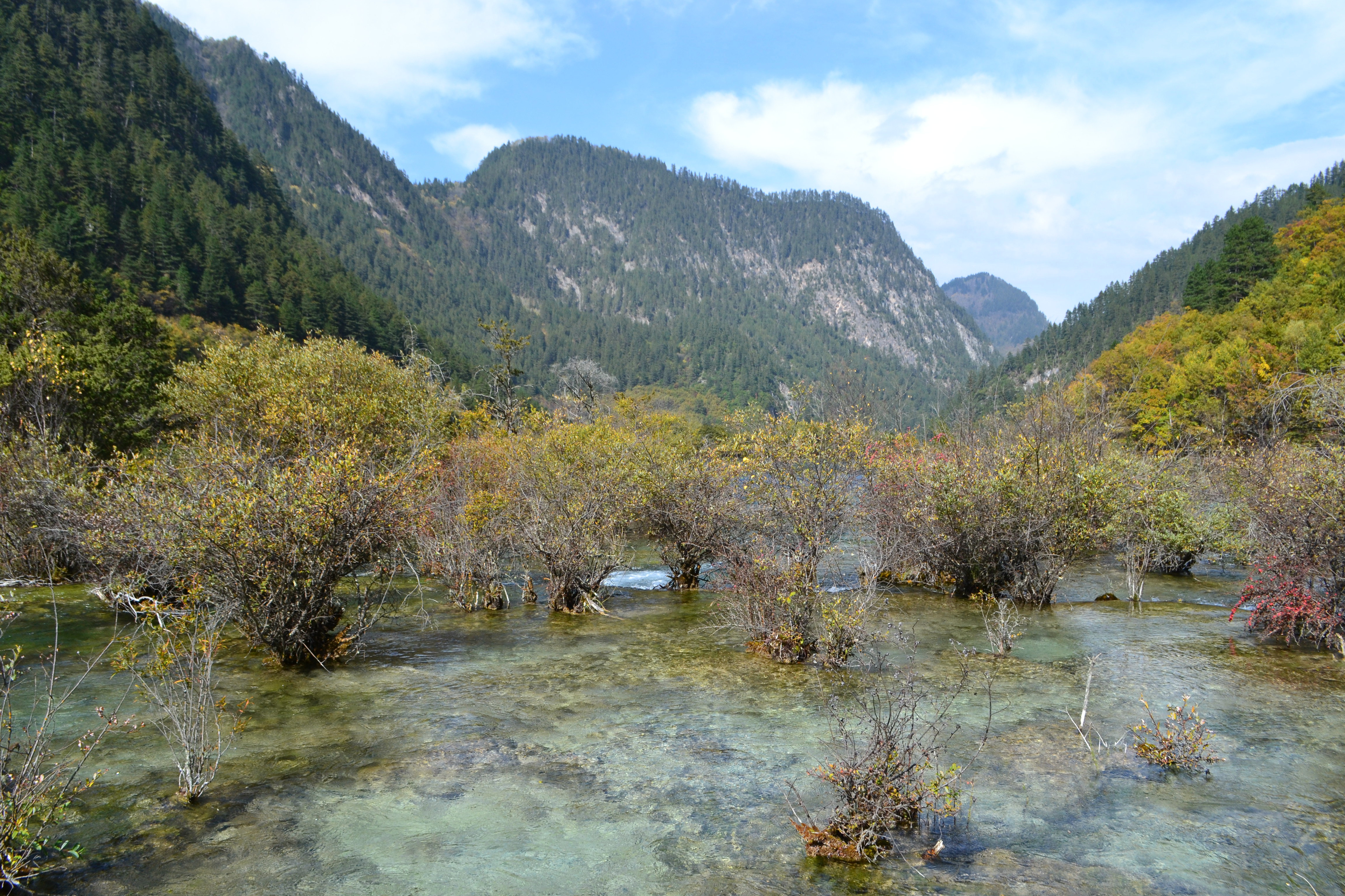 重游九寨沟旅游攻略 重游九寨沟旅游攻略作文