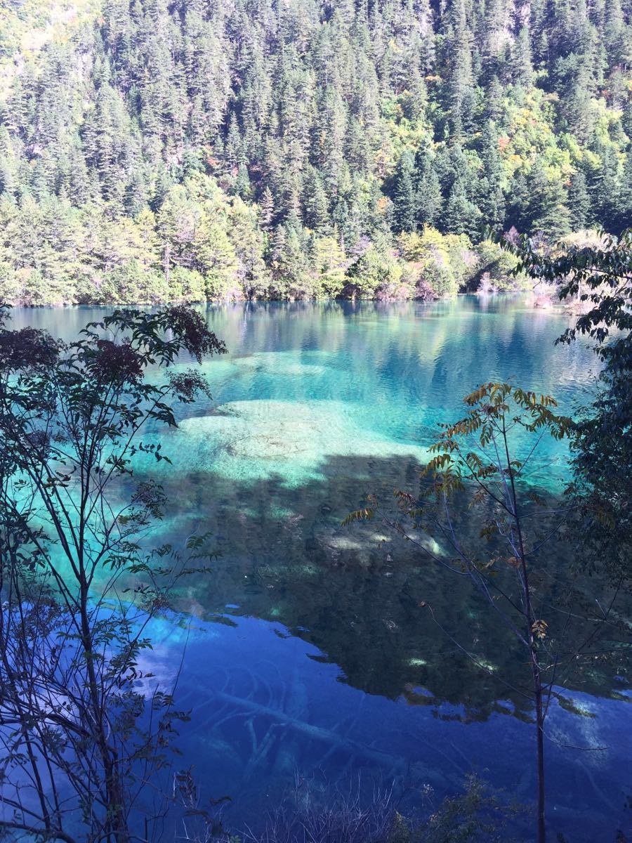 九寨沟旅游开车攻略 九寨沟旅游开车攻略路线