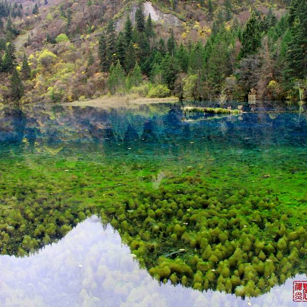 昆明九寨沟风景区旅游攻略 昆明九寨沟风景区旅游攻略路线