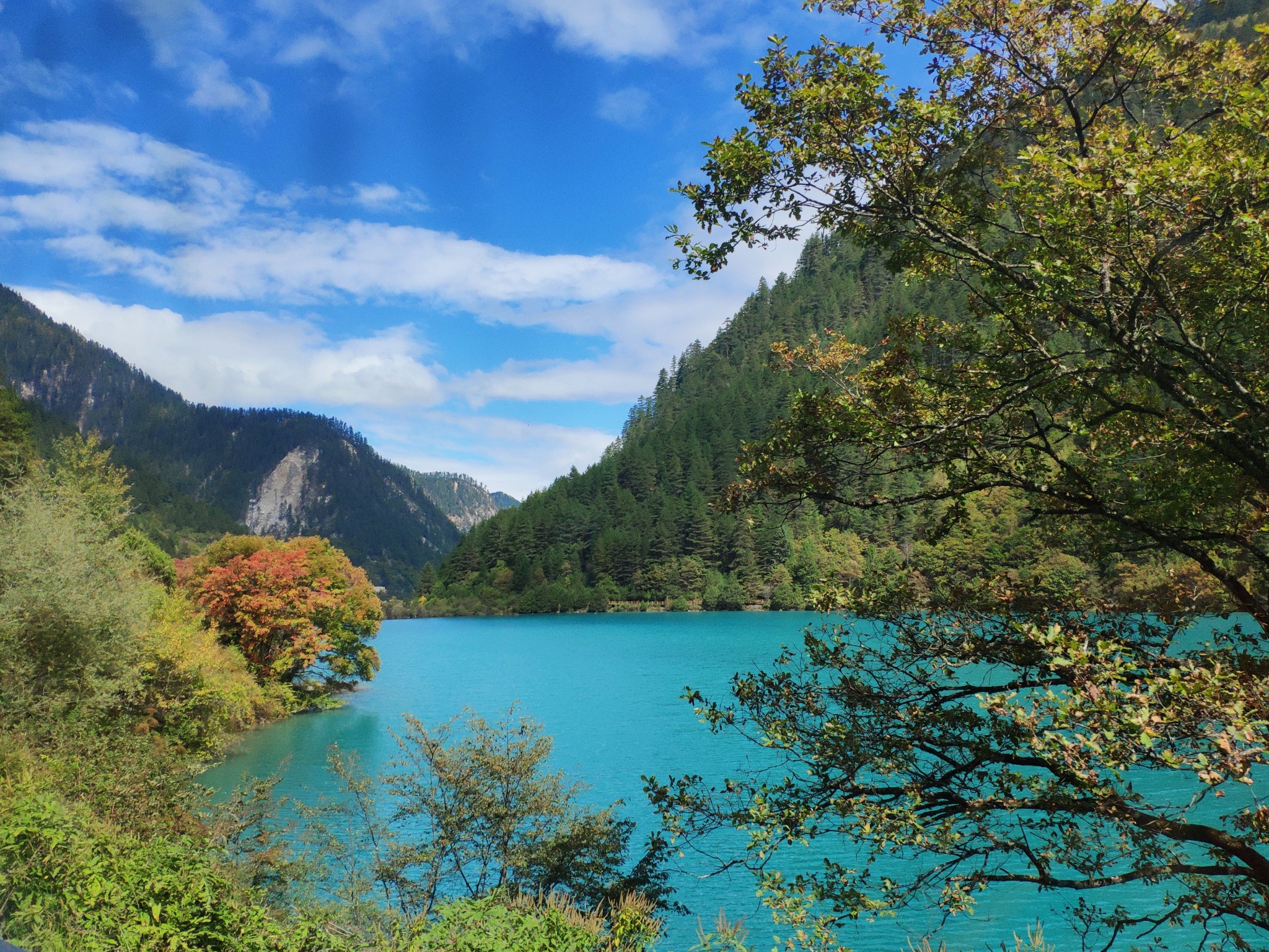 国庆九寨沟旅游攻略自助游一日游 国庆九寨沟旅游攻略自助游一日游多少钱