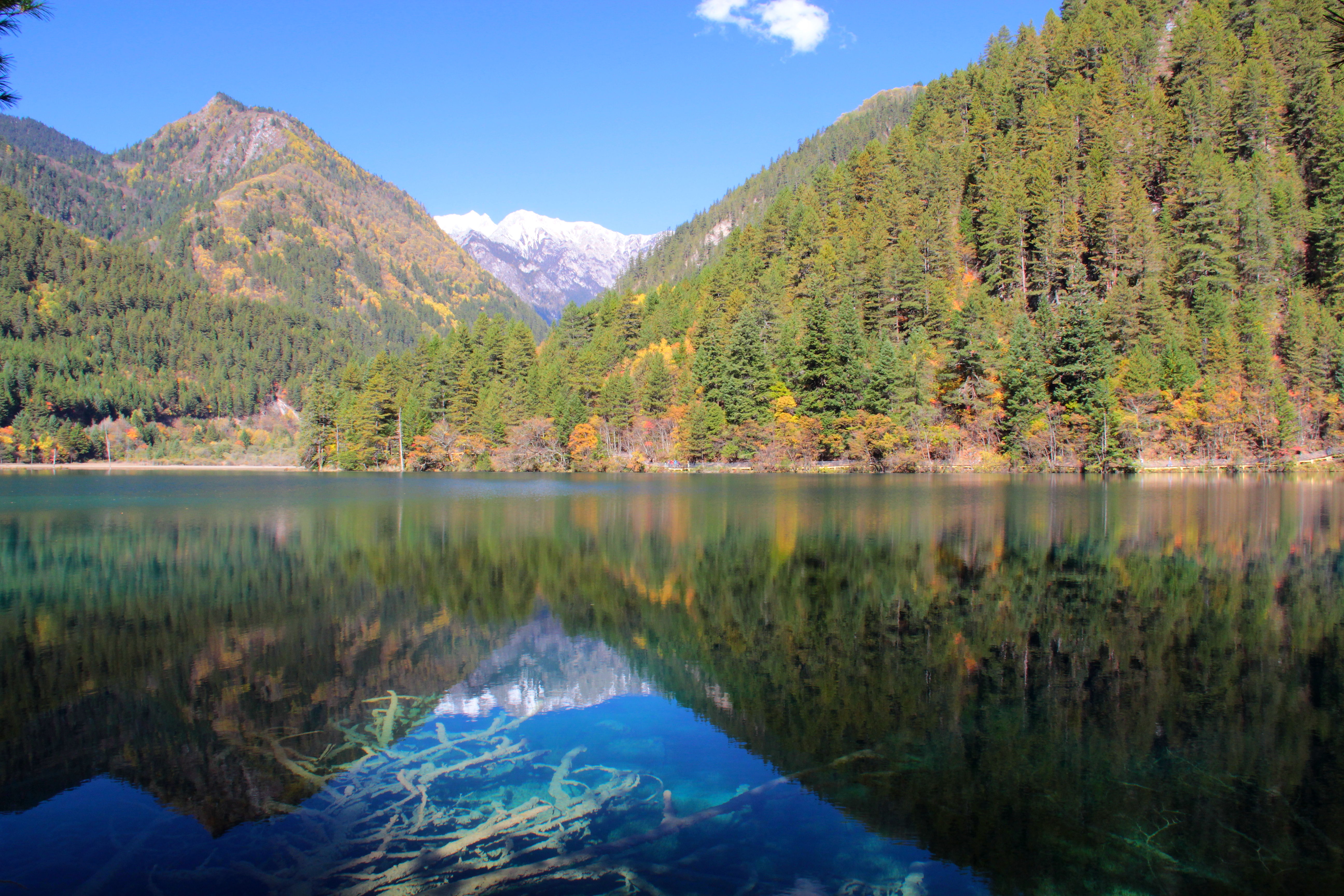 信得过的九寨沟旅游攻略 