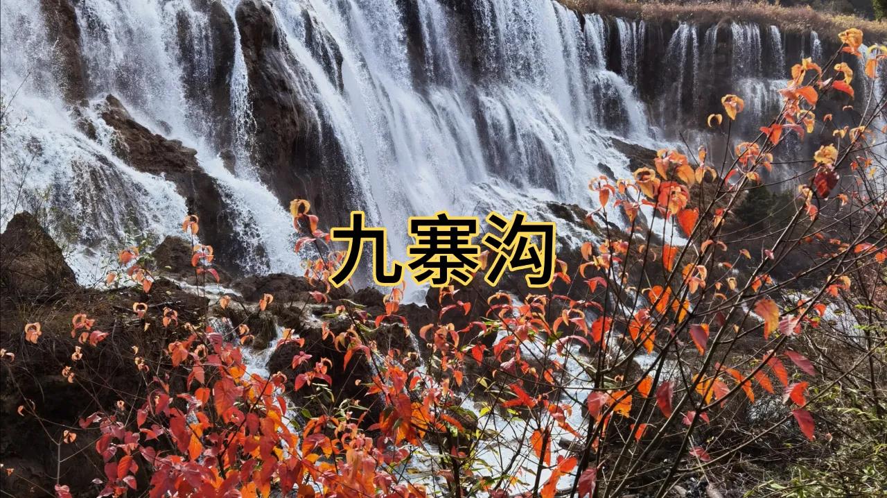 九寨沟旅游求攻略 九寨沟旅游攻略知乎