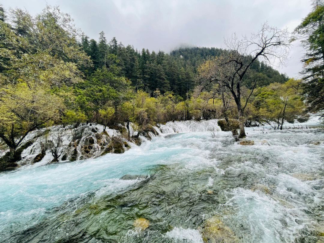 洛阳自驾九寨沟旅游攻略 洛阳周边不掏钱自驾游九县六区