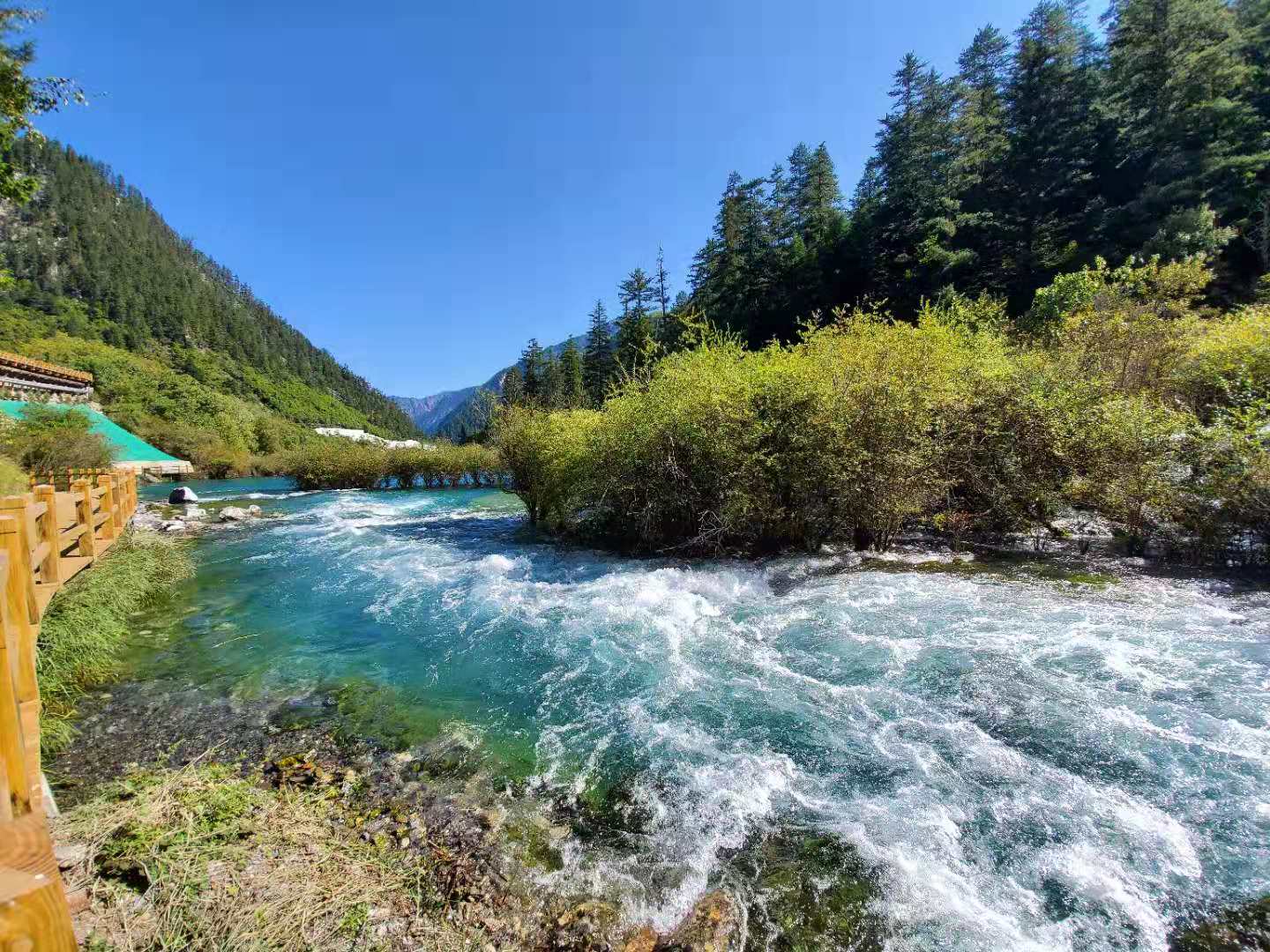 成都九寨沟旅游攻略景区 成都九寨沟景点门票价格大全