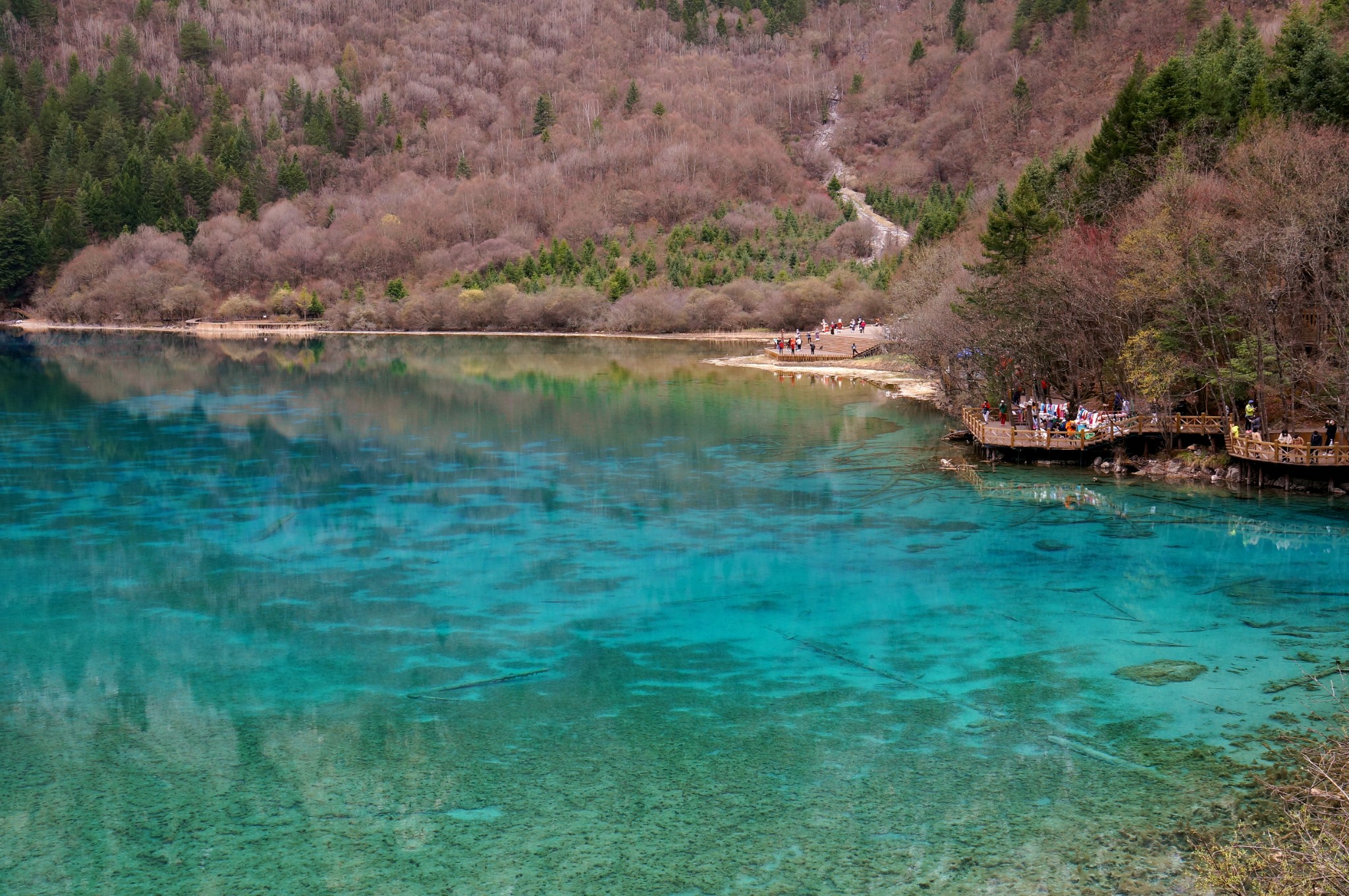 杭州出发到九寨沟旅游路线攻略 杭州出发到九寨沟旅游路线攻略图