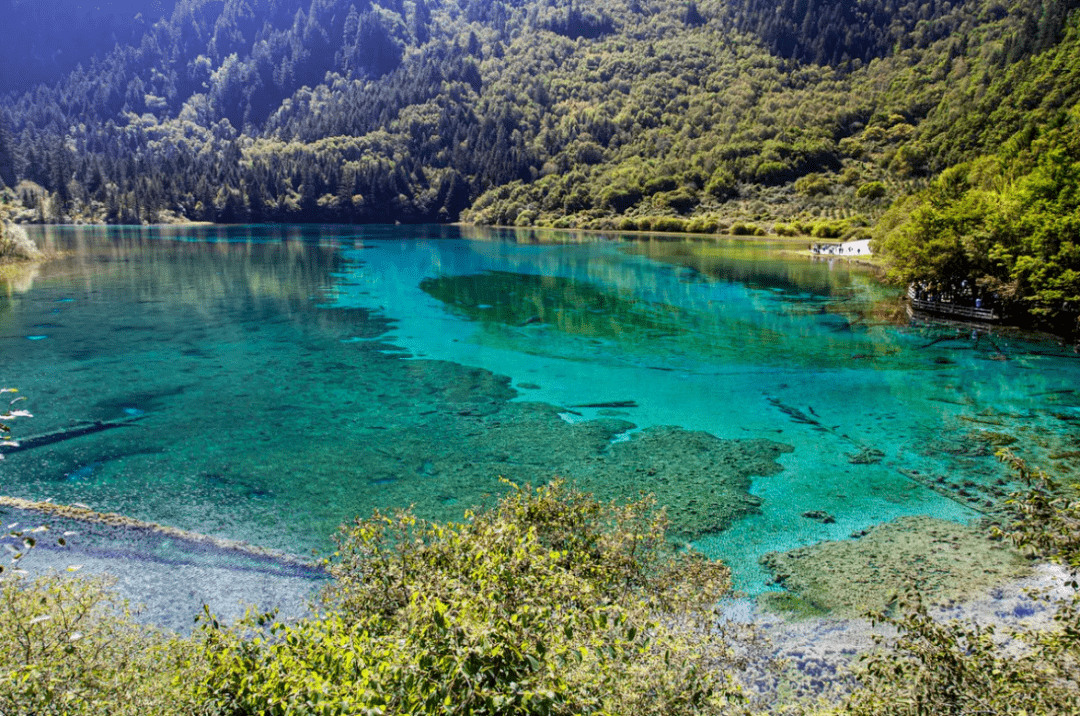 九寨沟蓝湖旅游攻略 九寨沟蓝湖旅游攻略图片