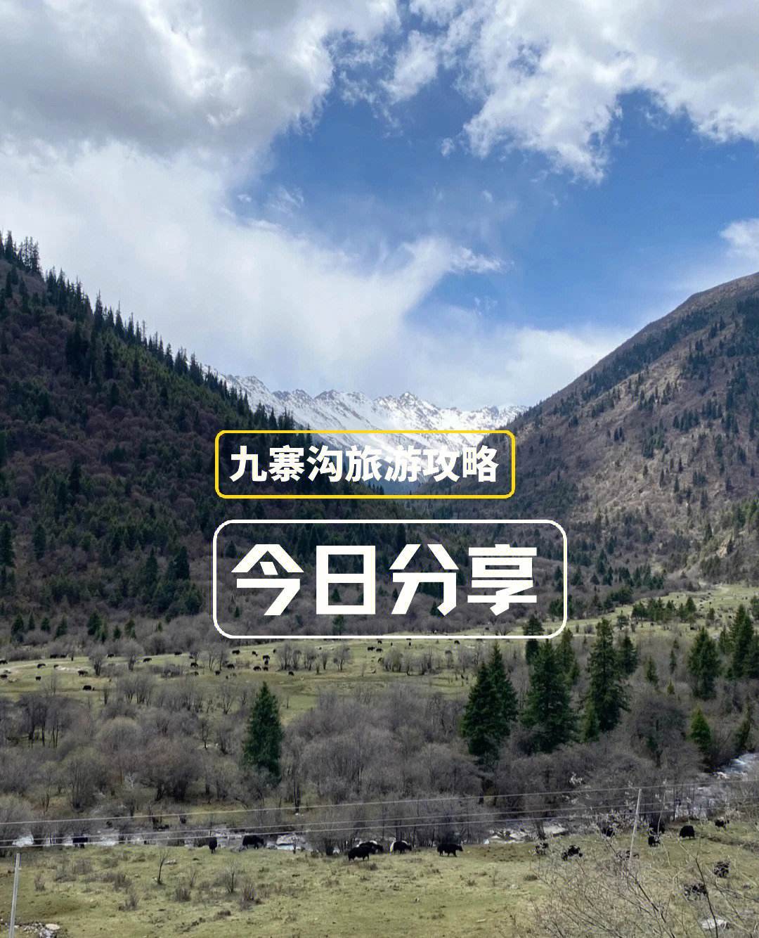 九寨沟黄龙旅游攻略自驾 九寨沟黄龙旅游攻略自助游