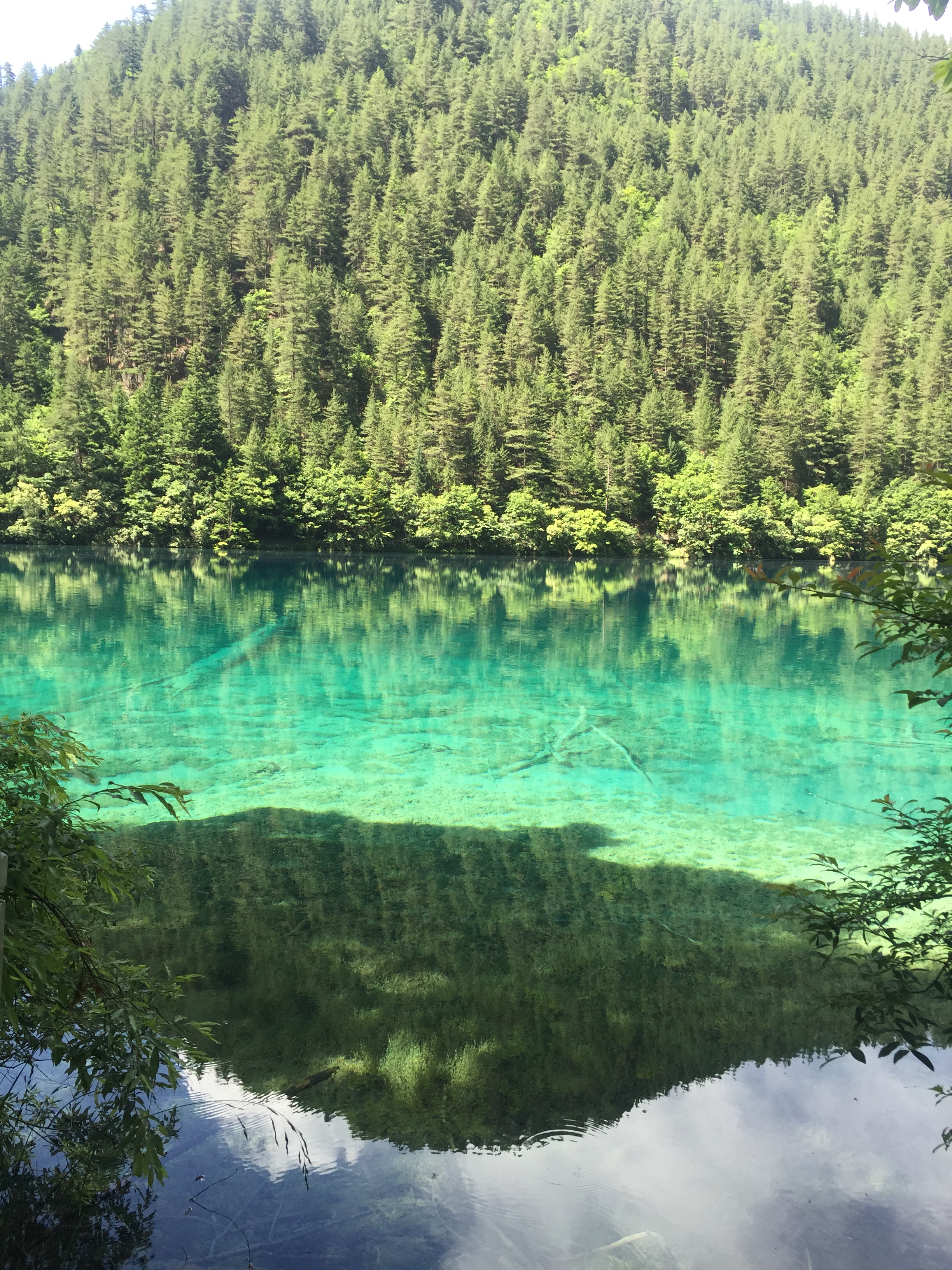 昆明九寨沟附近旅游攻略 昆明九寨沟跟团一般多少钱