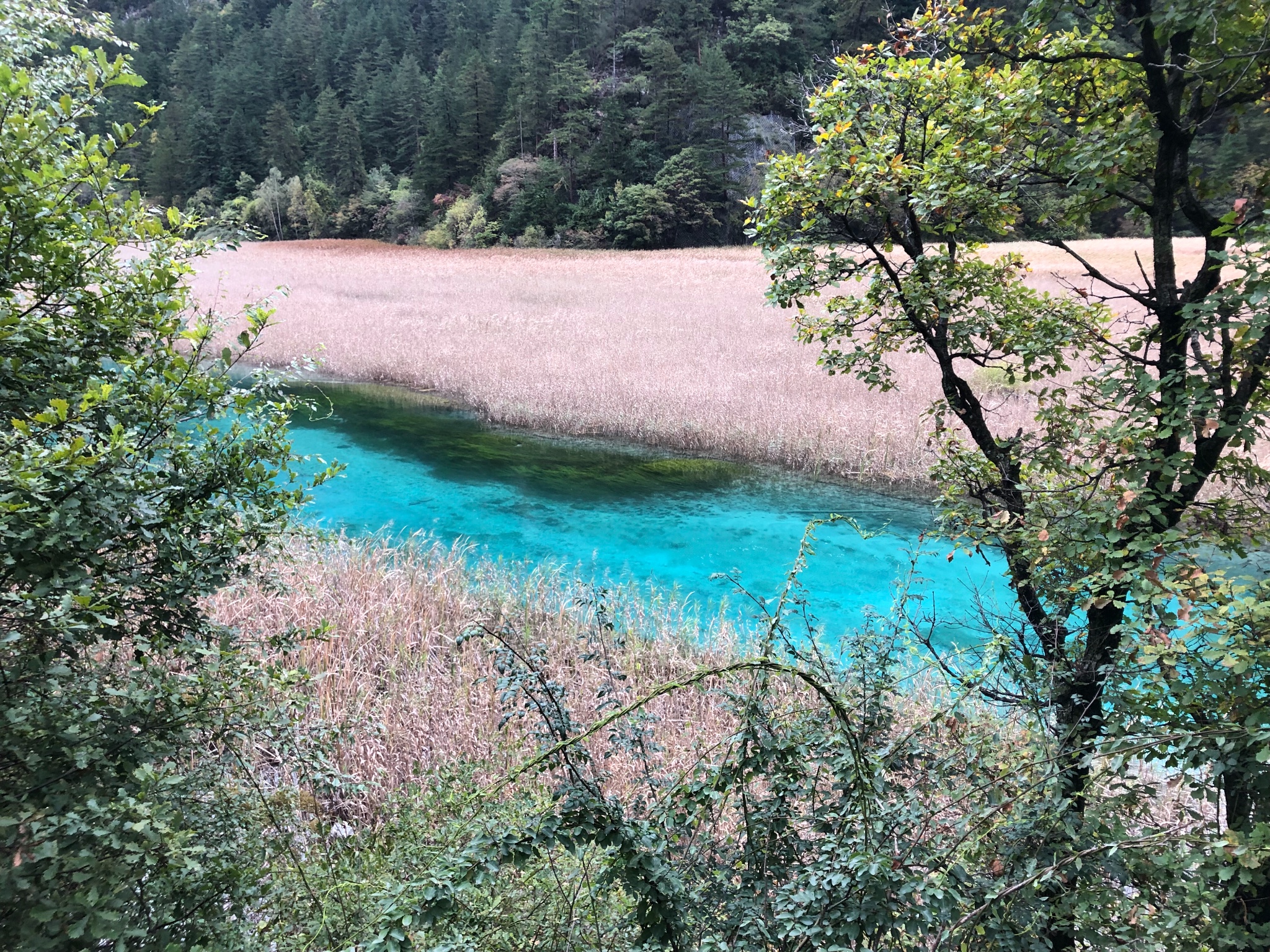 成都都江堰九寨沟旅游攻略 成都都江堰九寨沟自由行攻略