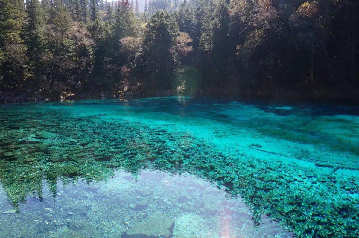 沧州九寨沟旅游攻略 沧州九寨沟旅游攻略一日游