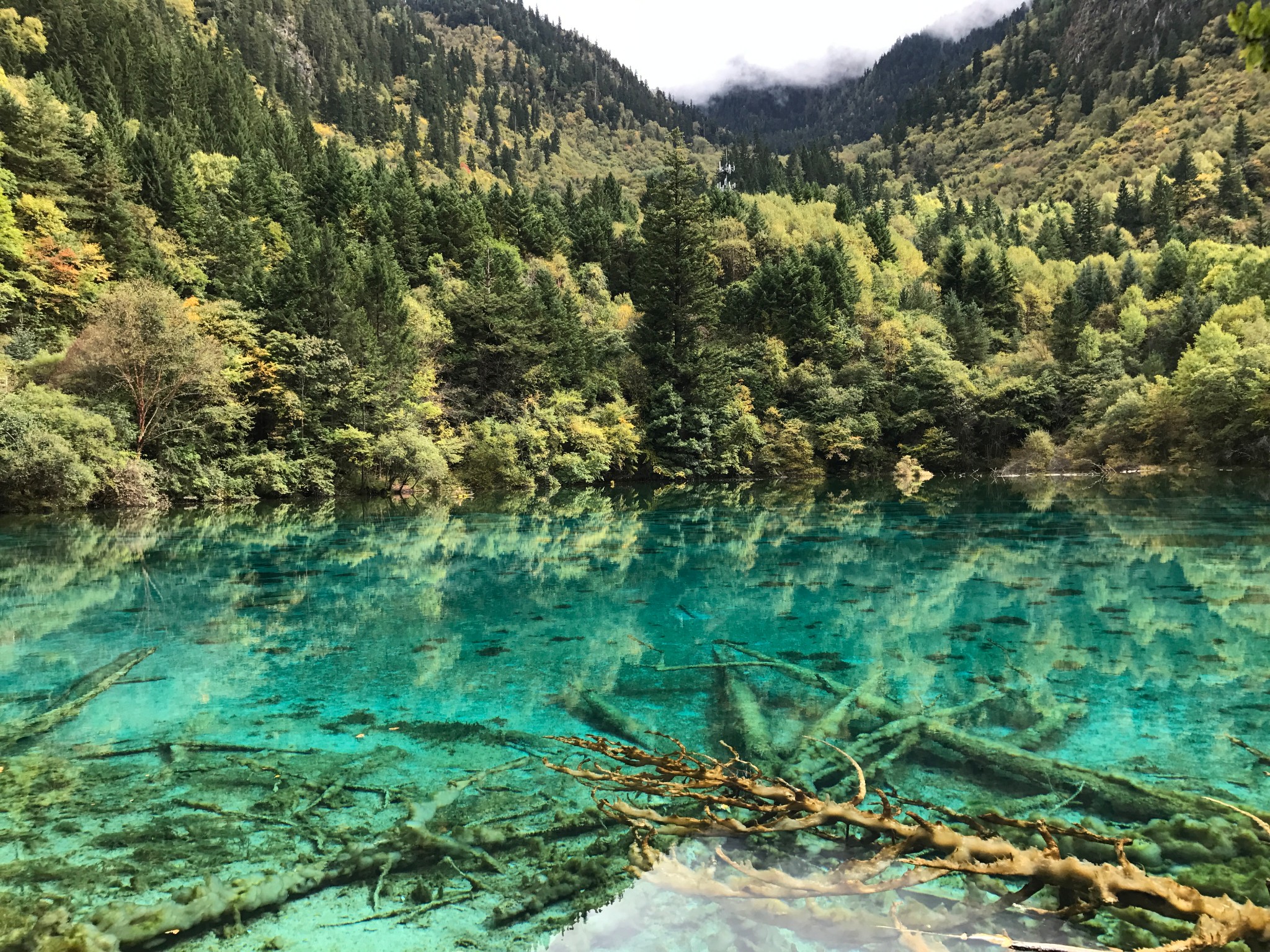 九寨沟自助旅游攻略 九寨沟自助游线路攻略