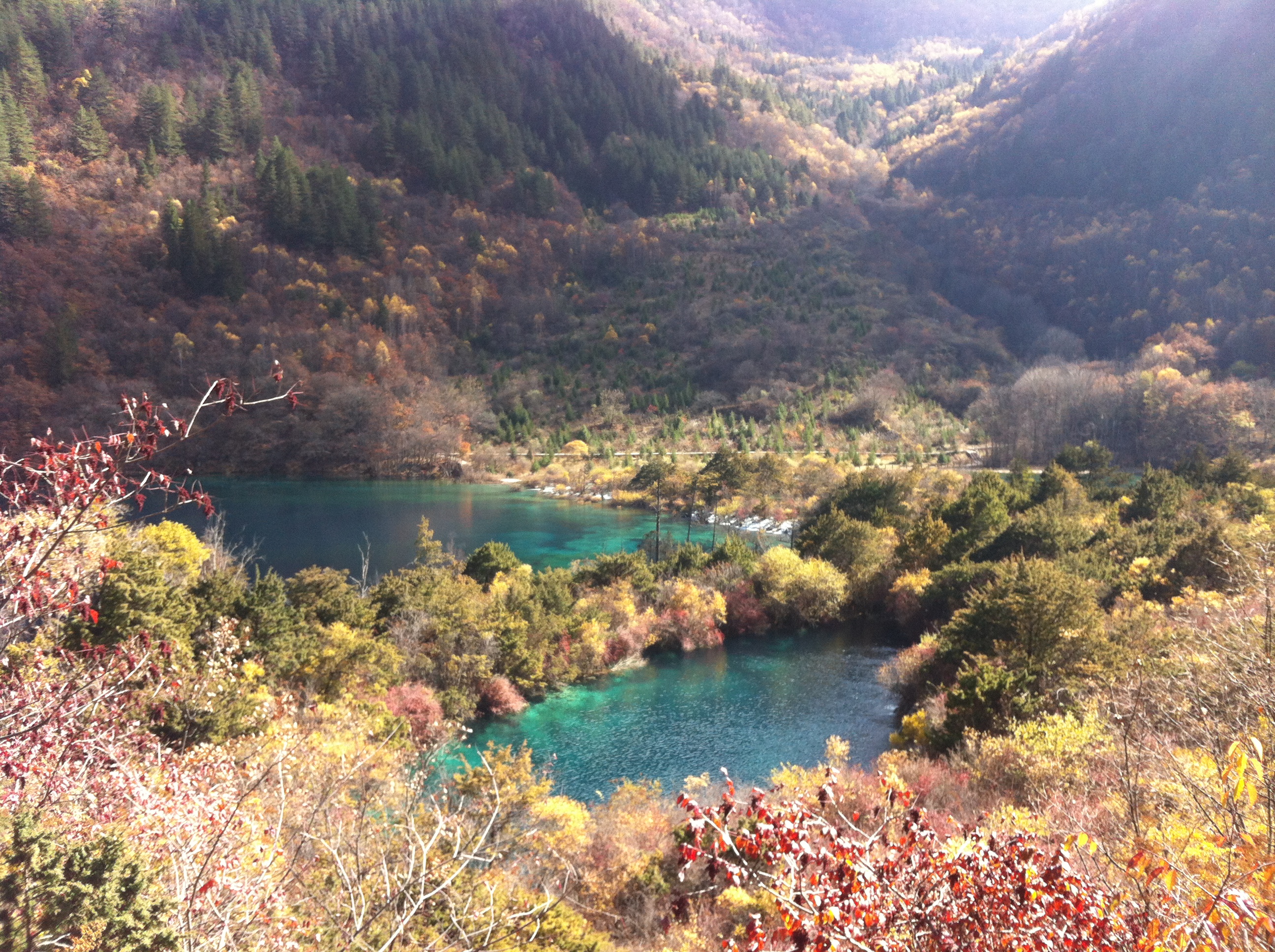 旅游攻略九寨沟怎么做 旅游攻略九寨沟怎么做核酸检测