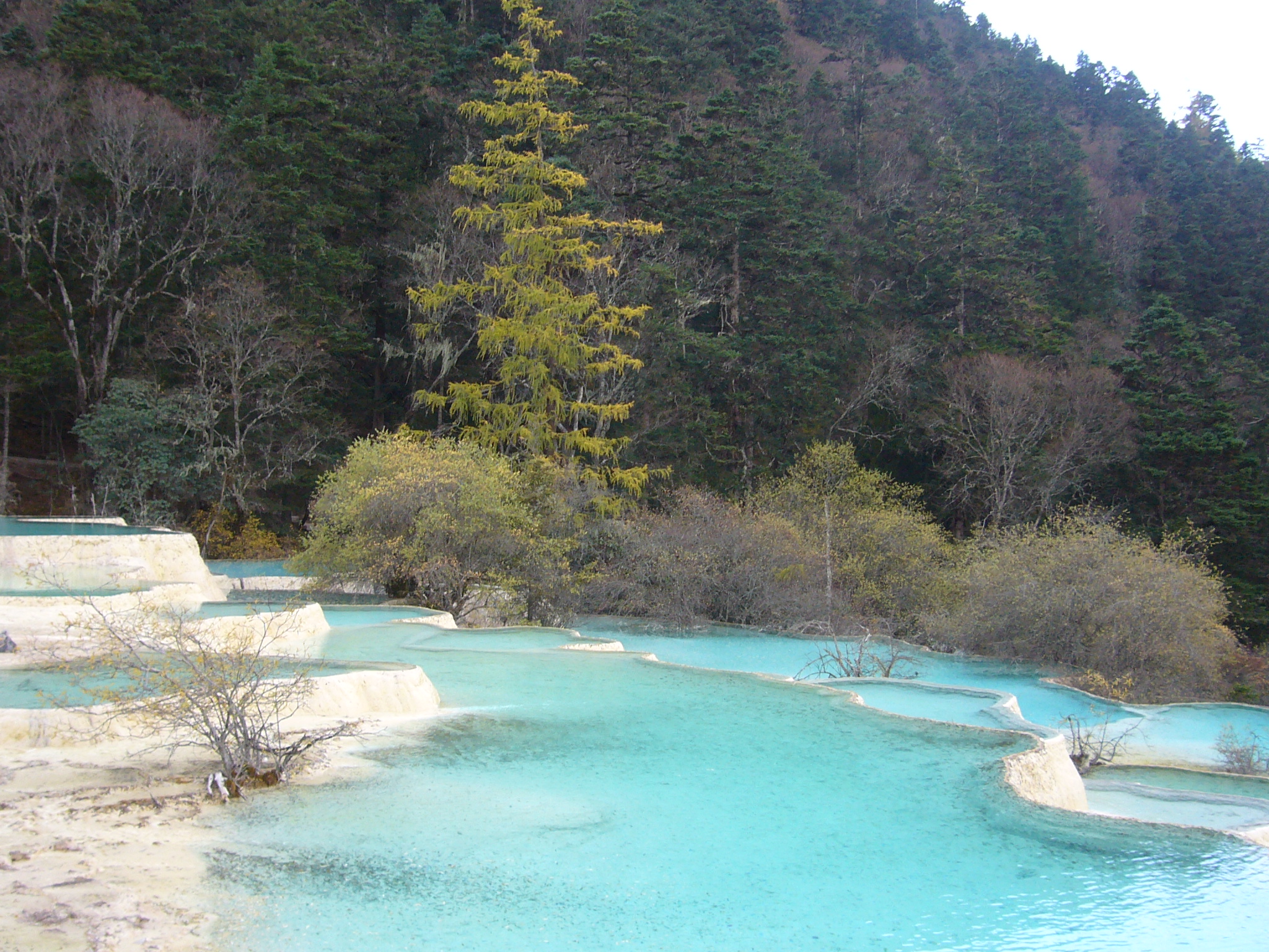 九寨沟旅游门票攻略大全 九寨沟旅游门票攻略大全图