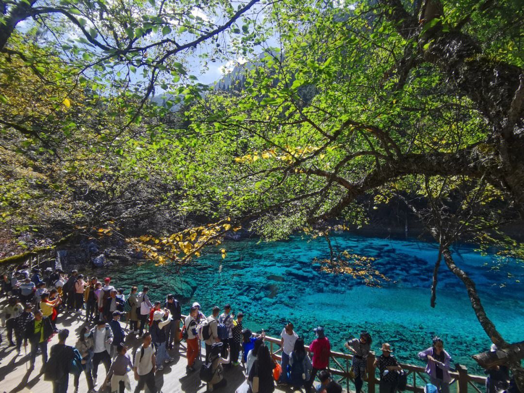 自驾九寨沟旅游攻略图文 自驾九寨沟旅游攻略图文版