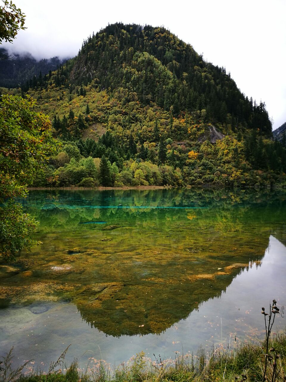 毕节到九寨沟旅游攻略自驾 毕节到九寨沟旅游攻略自驾路线