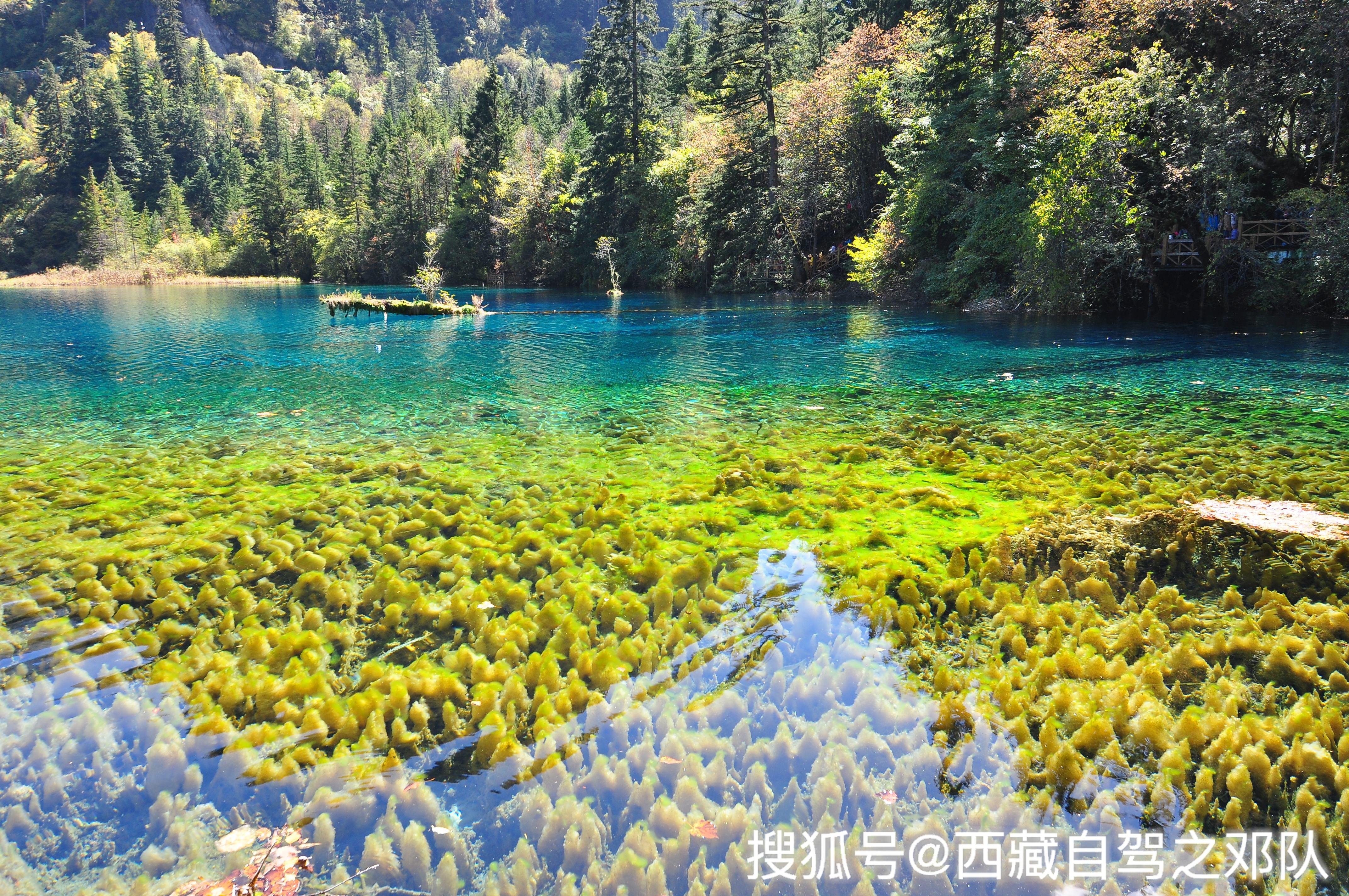 九寨沟湖旅游攻略 九寨沟湖旅游攻略一日游