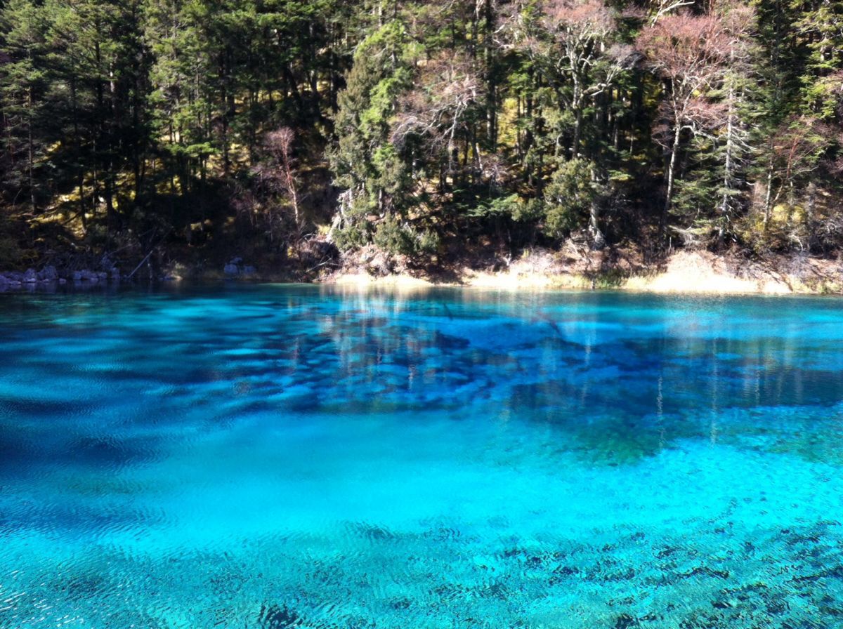 眉山九寨沟旅游攻略 眉山九寨沟旅游攻略一日游