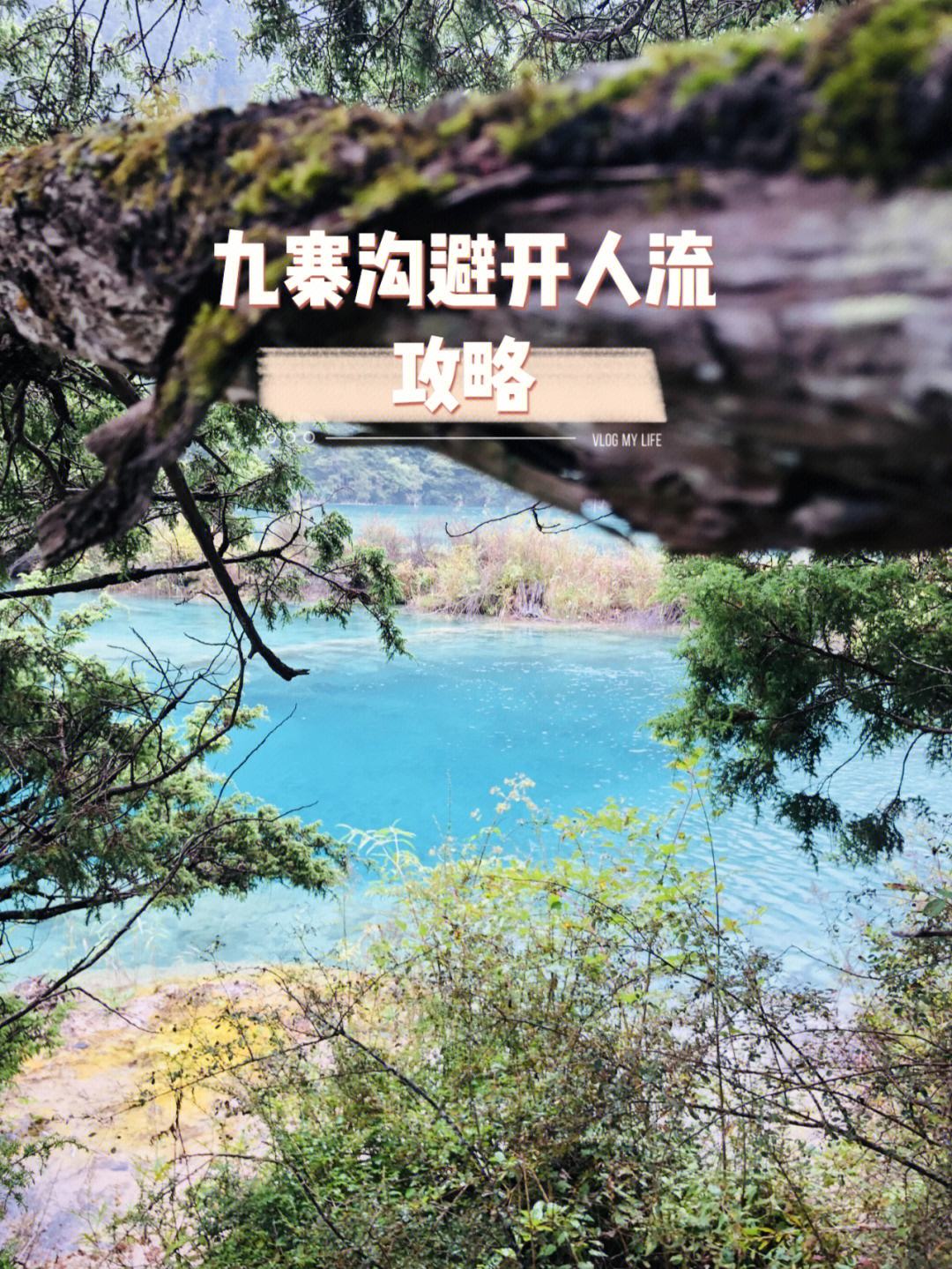 九寨沟二月份旅游攻略 九寨沟二月份旅游攻略一日游