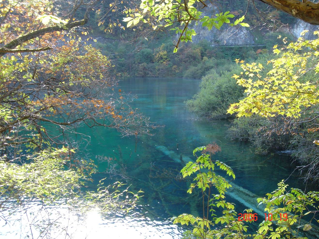 九寨沟金铃海旅游攻略 