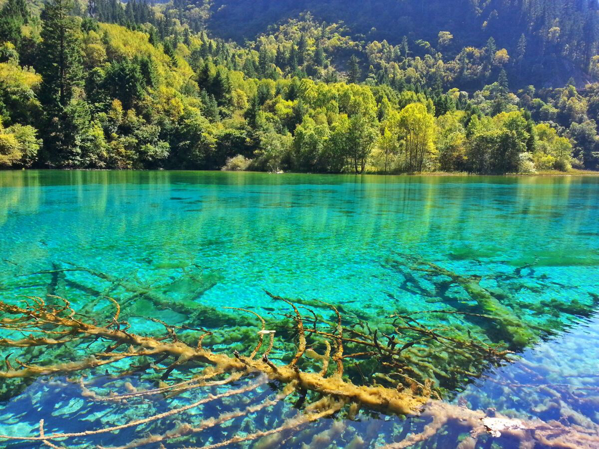 汉中九寨沟旅游攻略 汉中九寨沟自驾游路线