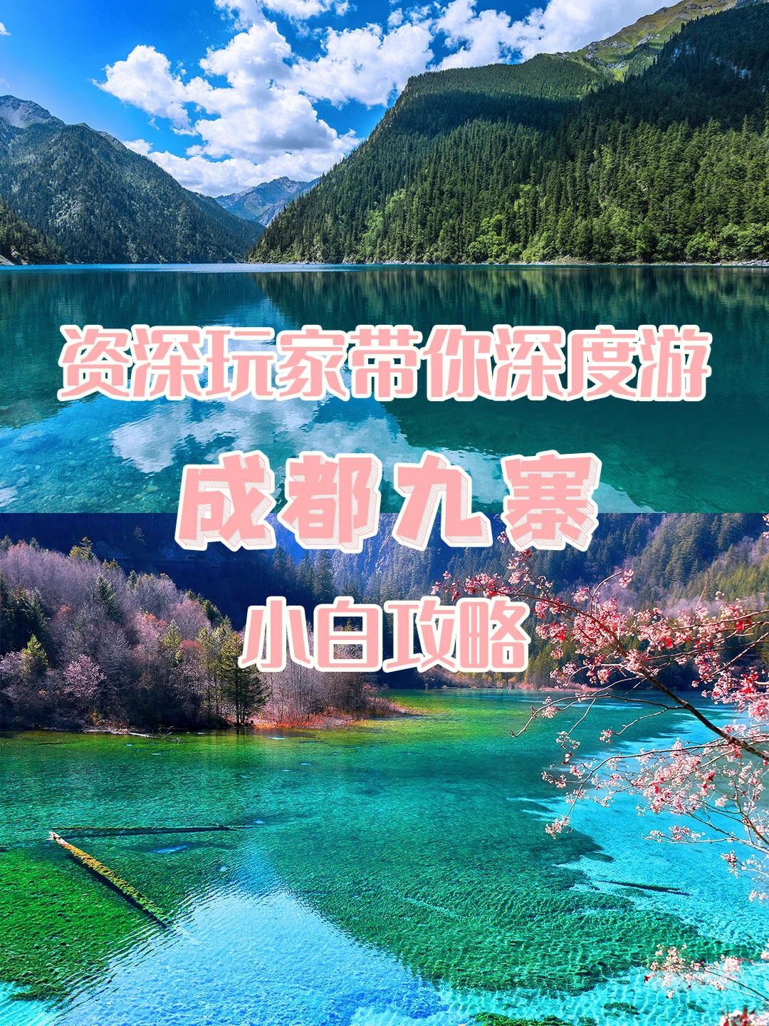 成都九寨沟旅游攻略六月 成都九寨沟旅游纯玩团六日游