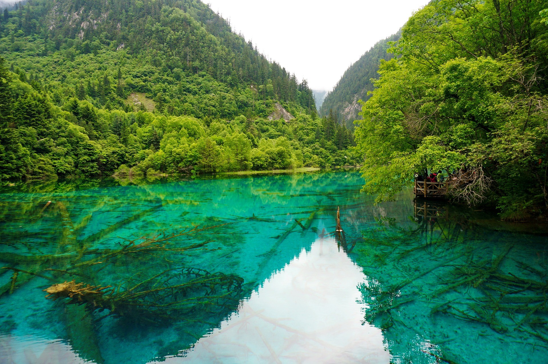 九寨沟和乐山旅游攻略 乐山九寨沟旅游攻略自助游