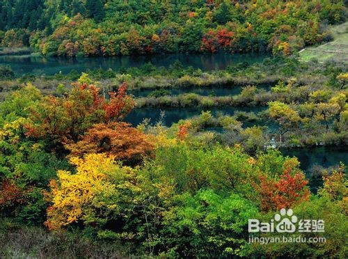 九寨沟内旅游景点大全攻略图 九寨沟内旅游景点大全攻略图片