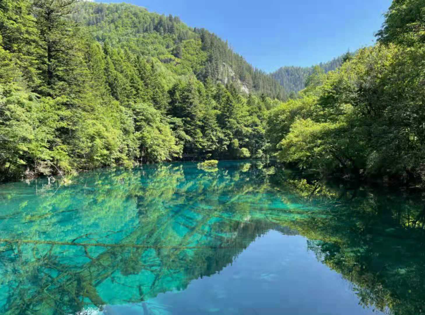 四川九寨沟十一旅游攻略 十一九寨沟旅游攻略自助游