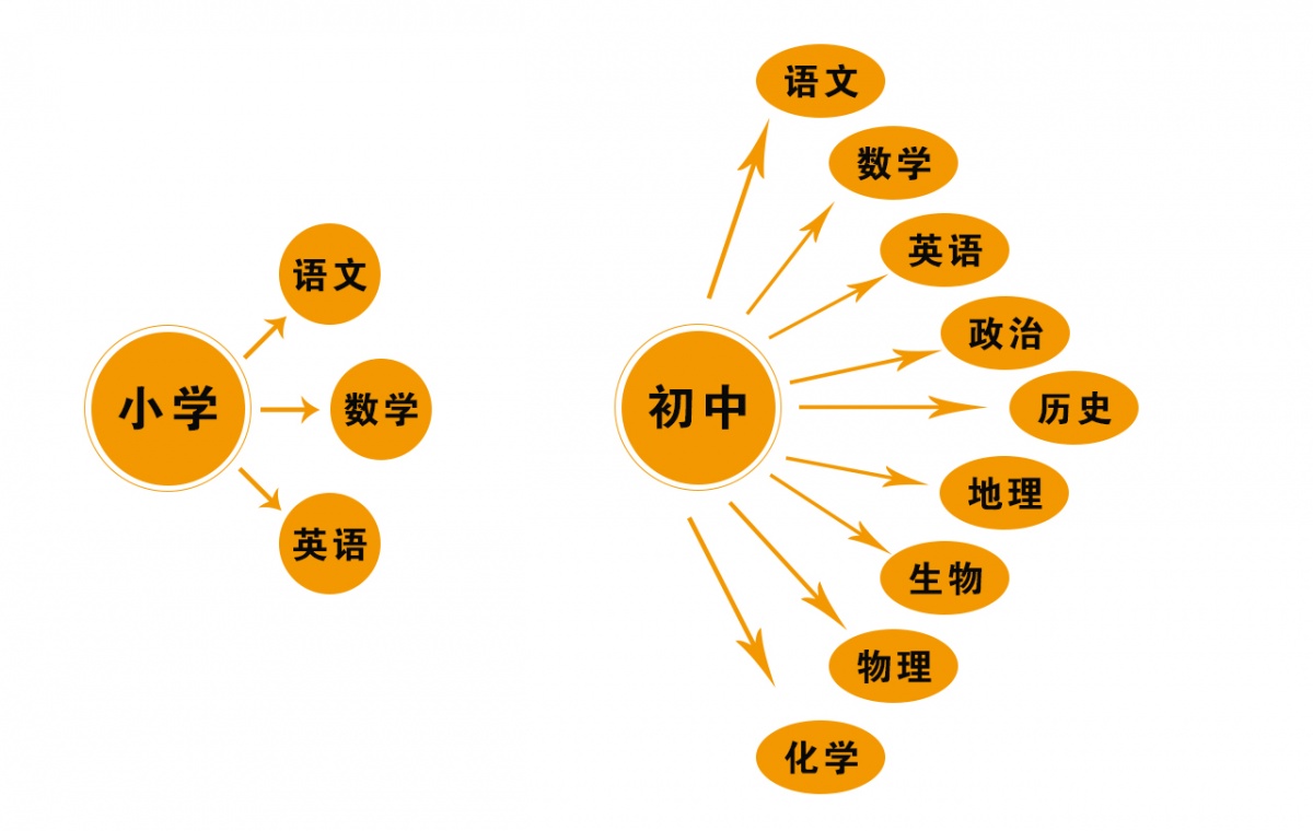 小学生初中学习方法的视频 怎样在小学把初中课程学起来