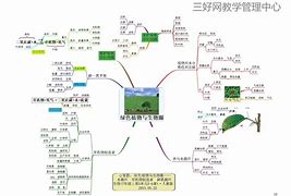 生物学习方法与技巧 生物学好的方法和技巧