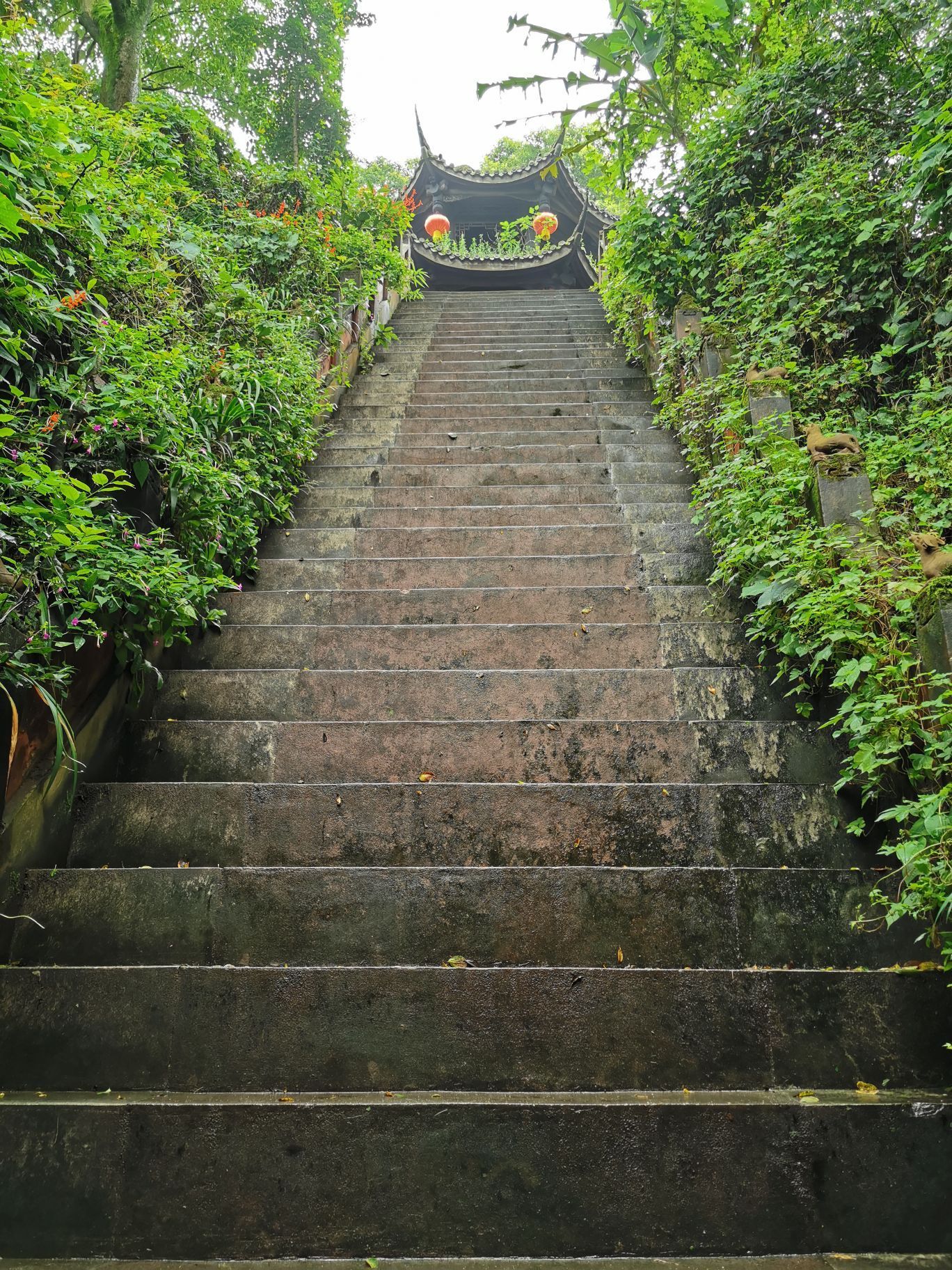 新津老君山风景区旅游攻略路线图 新津老君山风景区旅游攻略路线图最新