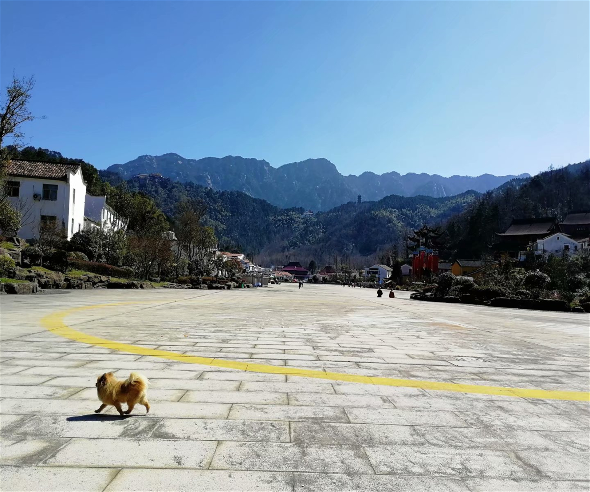 黄山风景区旅游攻略九华山 黄山风景区旅游攻略九华山路线